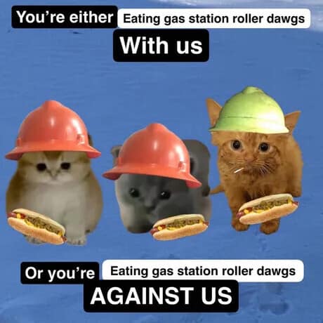 Meme edit of three kittens in construction hard hats holding hot dogs and demanding gas station roller dawg loyalty in a classic meme.