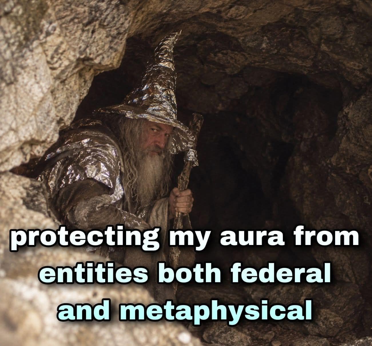Wizard in a cave clad in full tin foil robes protecting his aura from federal and metaphysical entities in an old memes post.