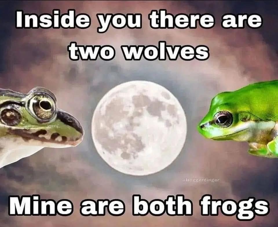 Two frogs staring up at a glowing full moon parodying the classic 'two wolves inside you' metaphor in a classic meme.