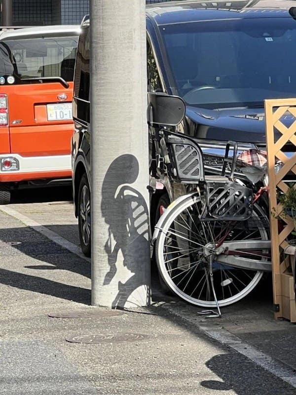 Pole shadow on a sidewalk that looks like a person carrying a bicycle.