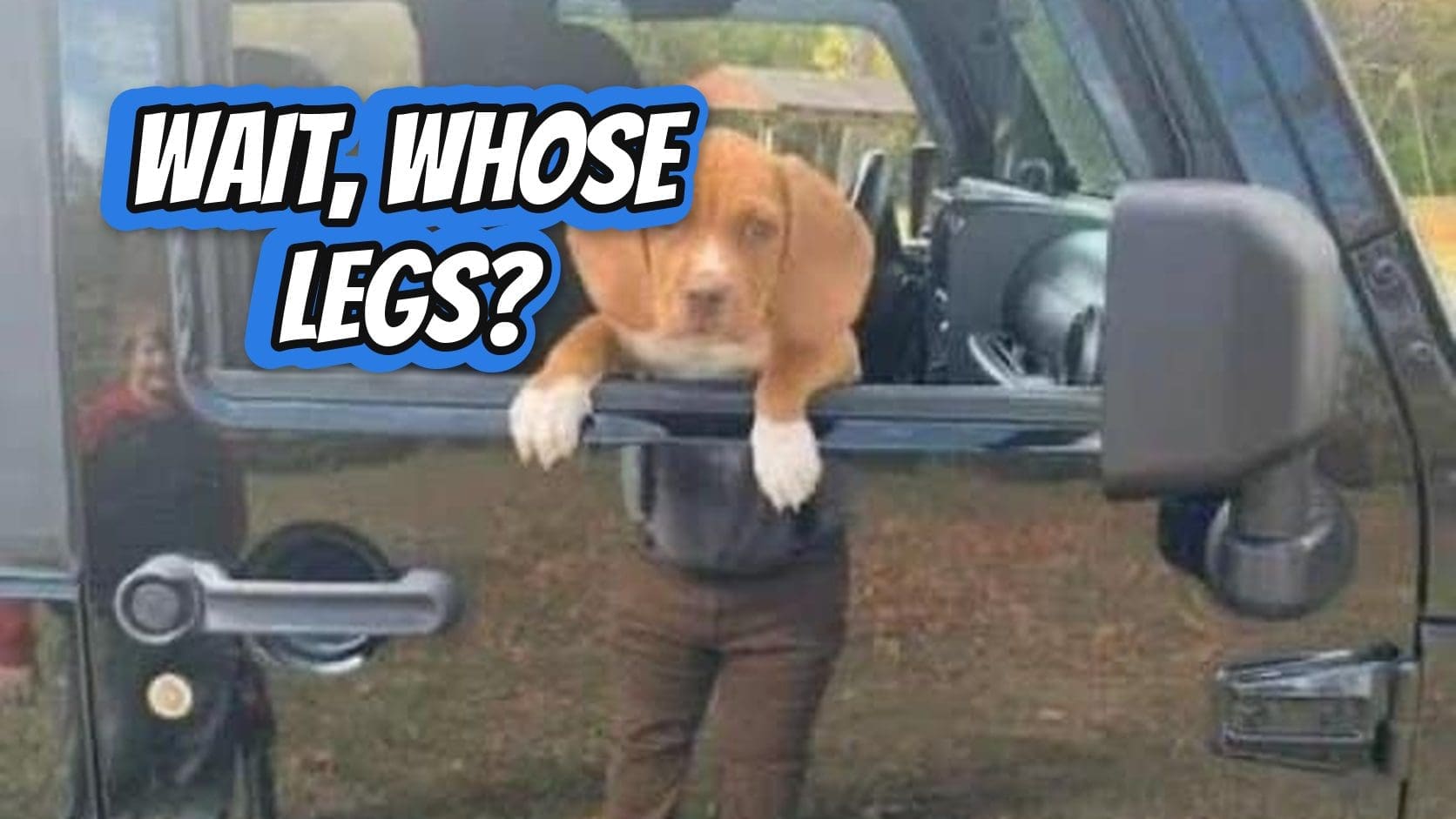 Puppy leaning out of a Jeep window lined up with a reflected man's legs, one of these confusing images.