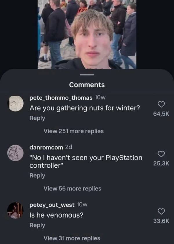 A social media post featuring puffed cheeks receiving creative insults about storing winter nuts.