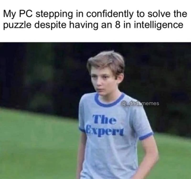 Photo of a young boy wearing a t-shirt labeled 'The Expert', capturing a low-Intelligence player stepping up to solve an ancient dungeon puzzle in a dnd meme.