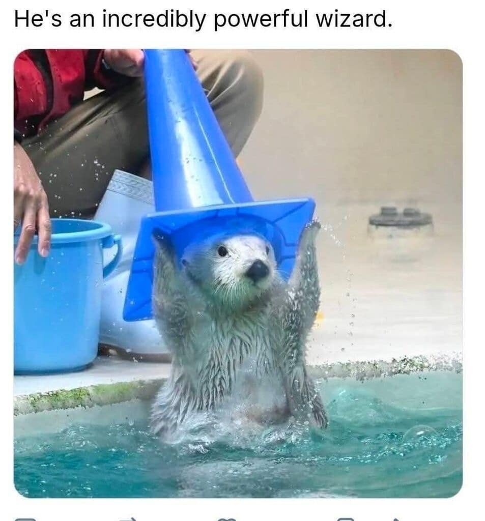 Sea otter emerging from water holding a blue plastic traffic cone over its head like a wizard hat, captioned 'He's an incredibly powerful wizard' in a d&d meme.