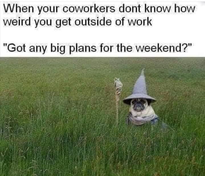 Small pug dressed in a wizard hat and cloak standing in a tall grass field captioned as weekend plans in a d&d meme.