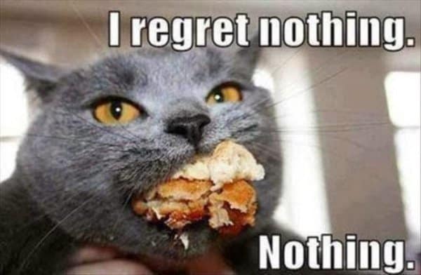 Close-up photo of a grey cat stuffing an entire piece of fried chicken into its mouth with bold text declaring 'I REGRET NOTHING' in a diet meme.