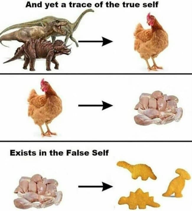 Evolutionary flow chart tracing dinosaurs to modern chickens and raw meat before completing the full-circle back to dino nuggets as a dinosaur meme.