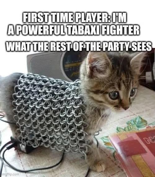 Kitten in chainmail from dnd memes, labeled a first time player's powerful Tabaxi fighter.
