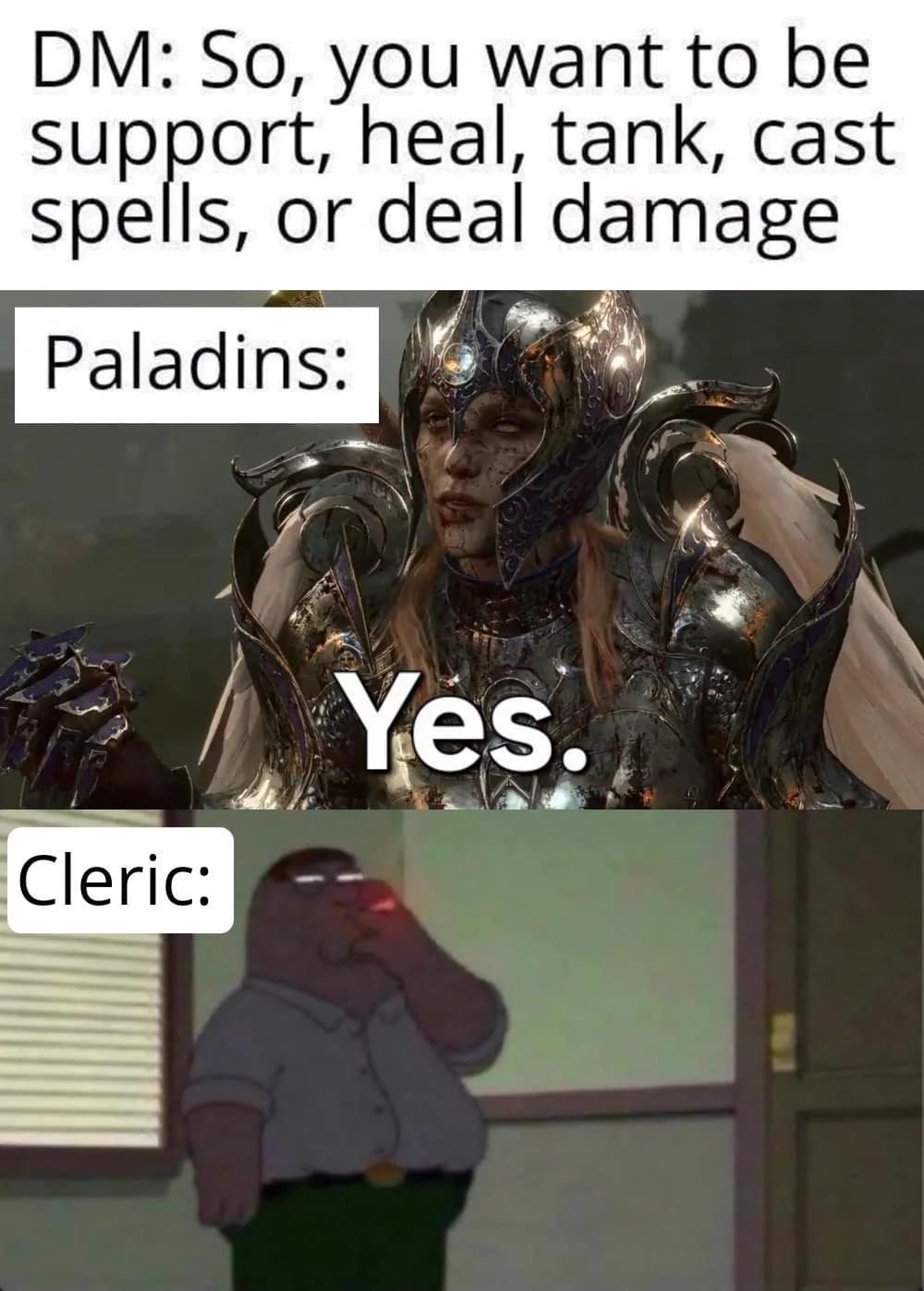 Paladin artwork paired with Peter Griffin smoking a cigarette, highlighting how Clerics and Paladins fulfill every party role in a dnd meme.
