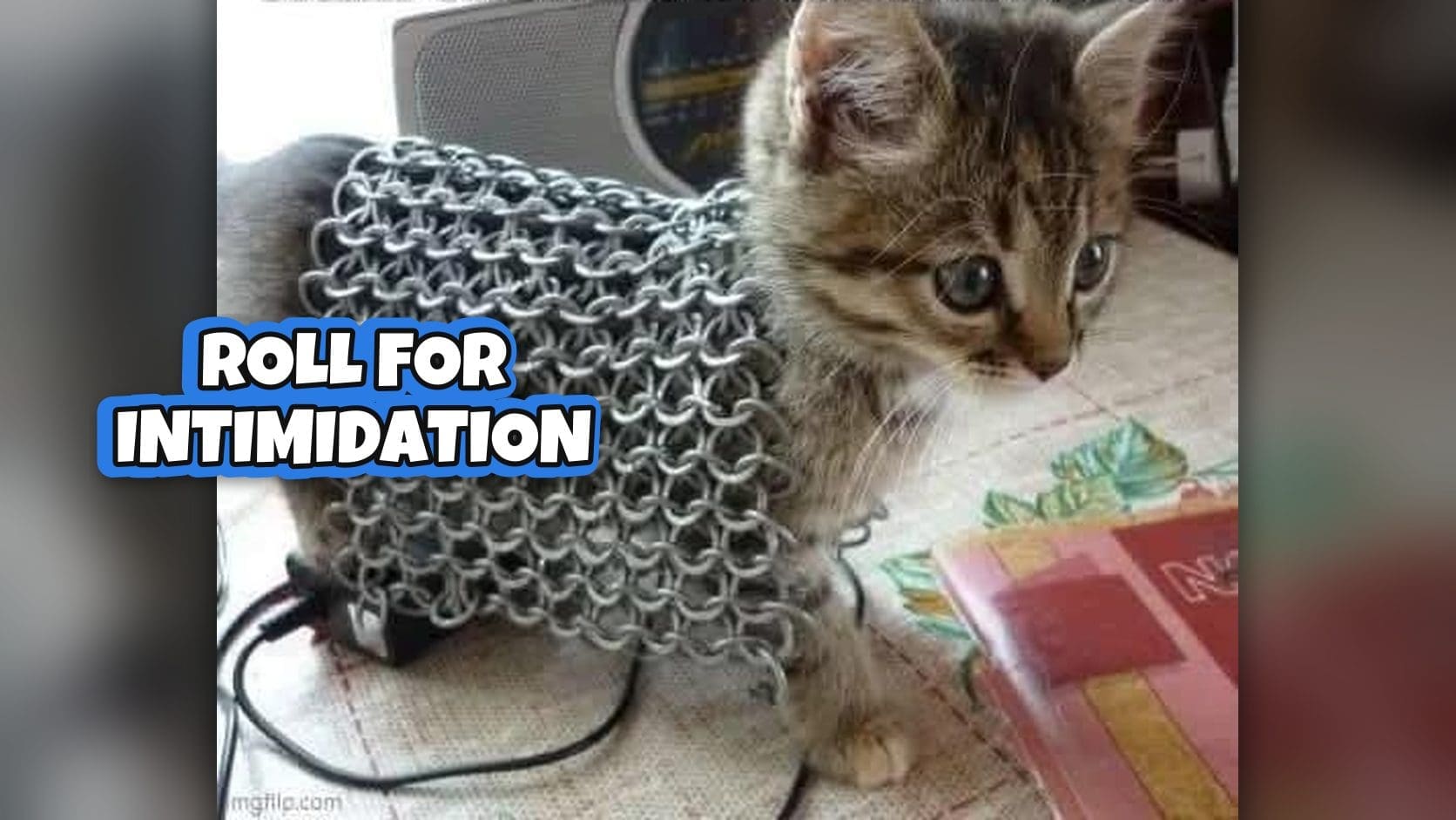 A tiny kitten wearing a chainmail vest on a desk, the least intimidating party tank in these dnd memes.
