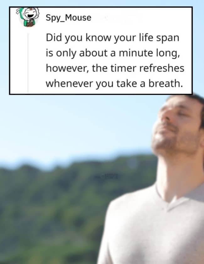 Reddit post sharing a dark dry joke about human breathing refreshing a one-minute life timer.