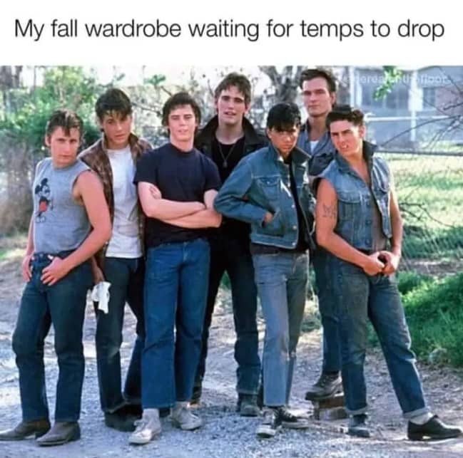 The cast of The Outsiders standing together as a fall wardrobe meme waiting for temperatures.