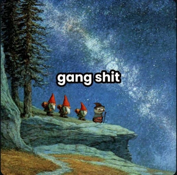 Three gnomes and a tiny frog wizard marching along a high cliff ledge under a starry galaxy sky, captioned 'gang shit' in a fantasy meme.