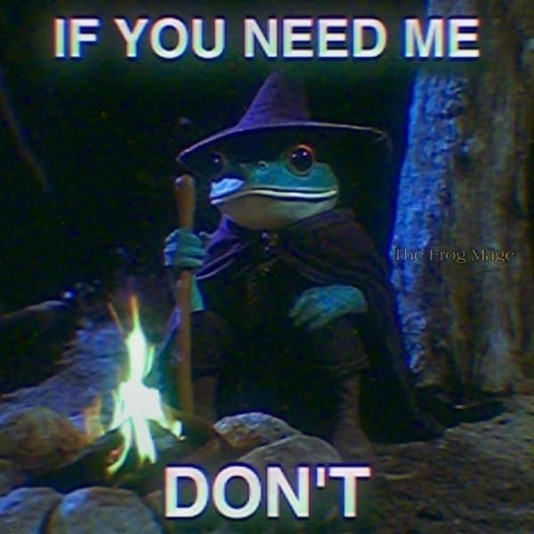 Hooded frog wizard sitting quietly beside a crackling campfire in the dark woods, overlaid with text reading 'IF YOU NEED ME DON'T' in a fantasy meme.