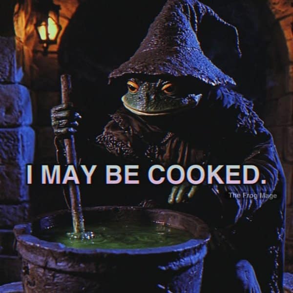 Toad wizard wearing a worn pointy hat stirring a bubbling green cauldron, captioned 'I MAY BE COOKED' in a fantasy meme.