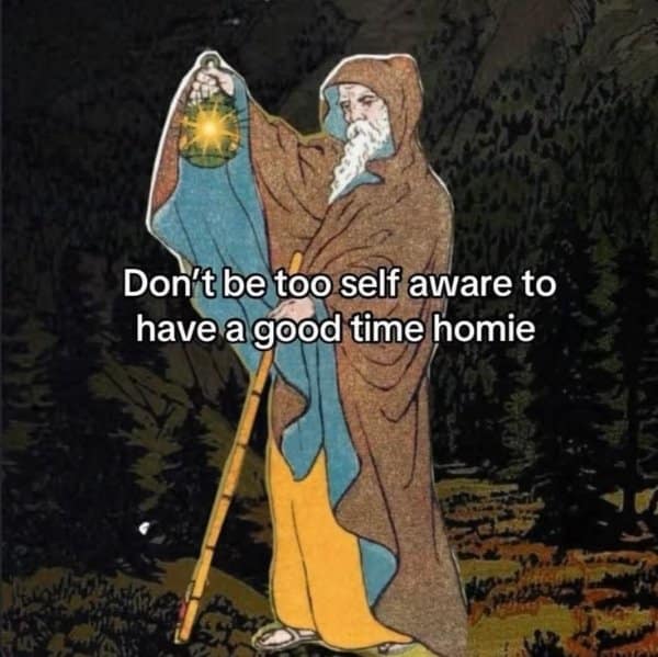 Hermit wizard in robes holding up a glowing lantern in a dark pine forest, advising readers not to be too self-aware in a fantasy meme.