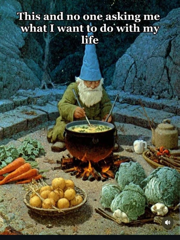 Cozy illustration of a blue-hatted gnome stirring a bubbling iron cauldron over an open campfire surrounded by giant carrots and cabbages, captioned about peaceful isolation in a fantasy meme.