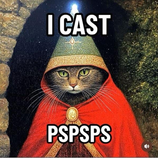 Portrait of a cat dressed in a red hooded wizard cloak and star-tipped hat, captioned with the spell invocation 'I CAST PSPSPS' in a fantasy meme.