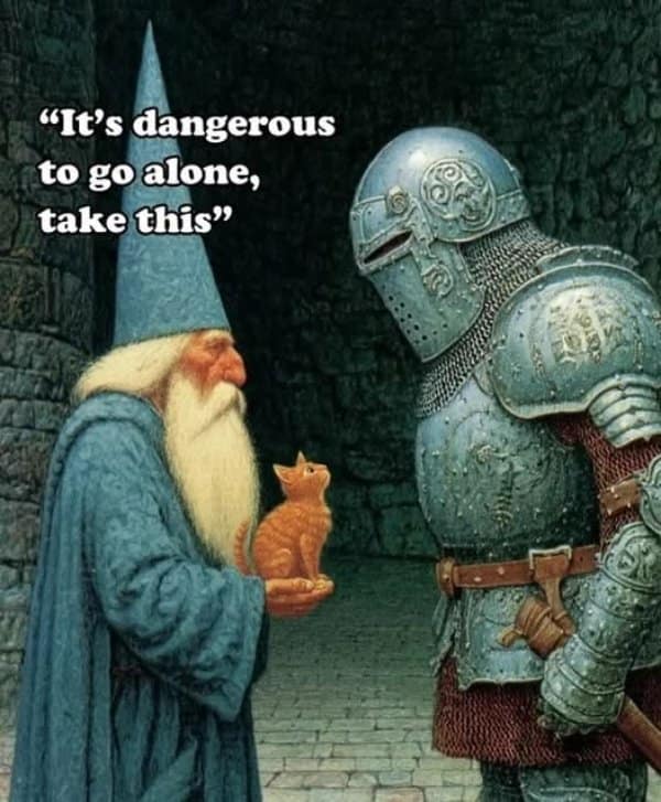 Classic artwork of an old robed wizard presenting a tiny orange kitten on his palm to a giant knight in full steel armor, captioned 'It's dangerous to go alone, take this' in a fantasy meme.