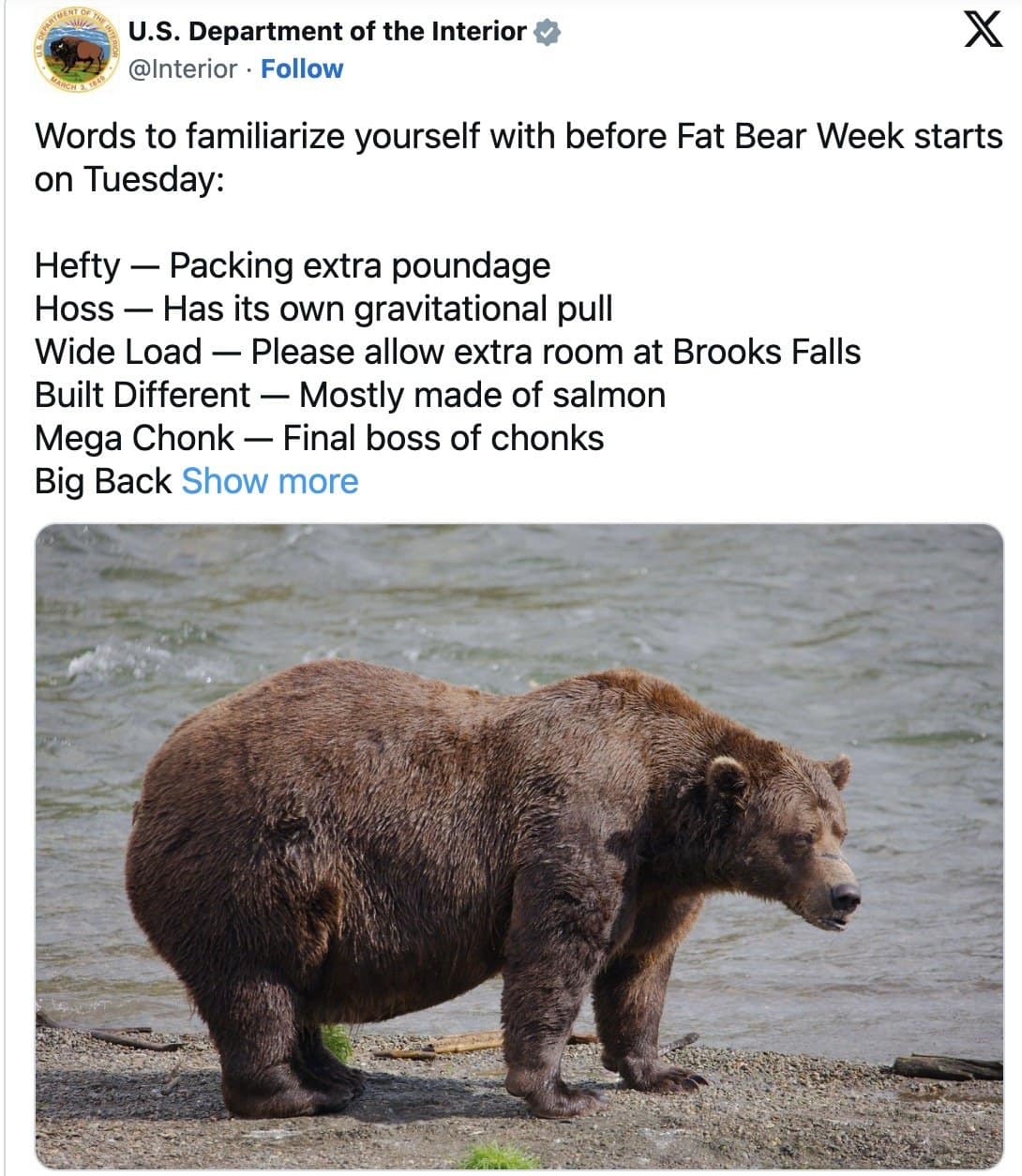 Interior Department glossary of chonk terms like Hefty, Hoss and Wide Load above a round brown bear