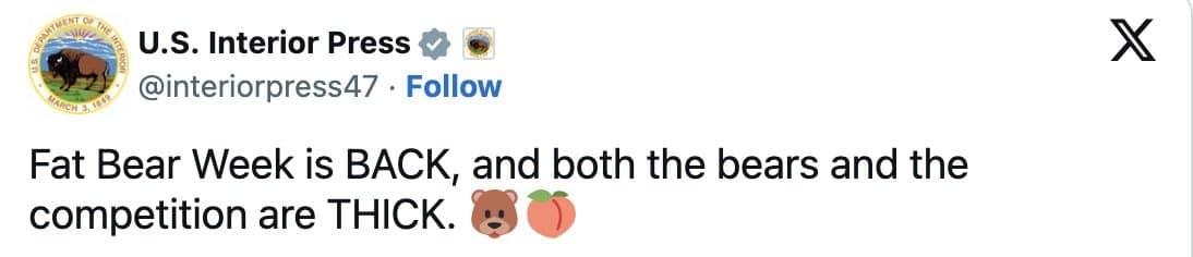 Interior press account announcing that both the bears and the competition are thick this year
