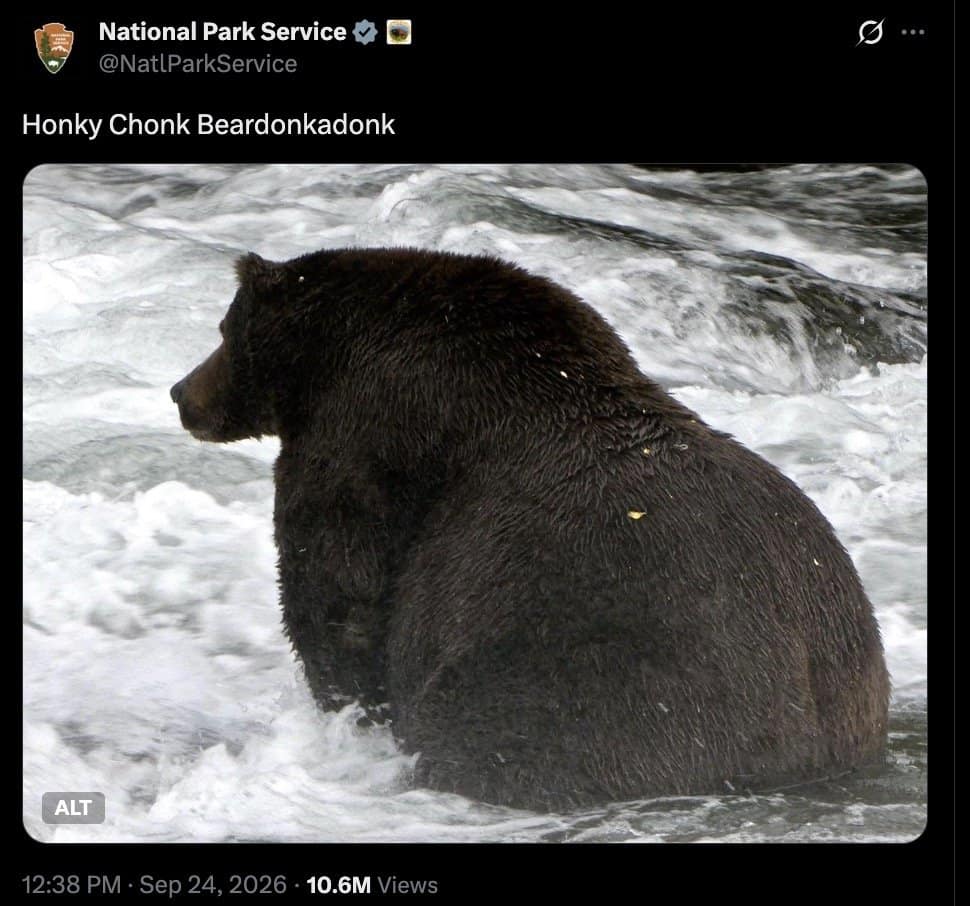 National Park Service tweet reading Honky Chonk Beardonkadonk over a huge bear seen from behind in rapids