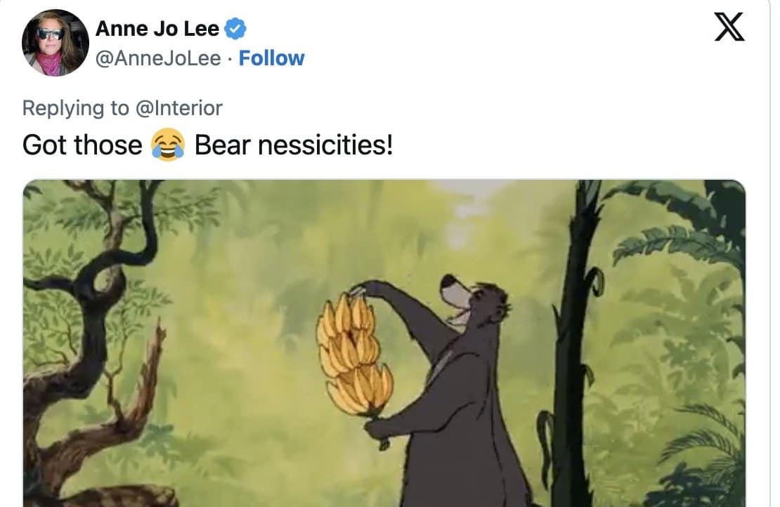 Baloo from The Jungle Book holding bananas in a Bear Necessities reply to the Interior Department