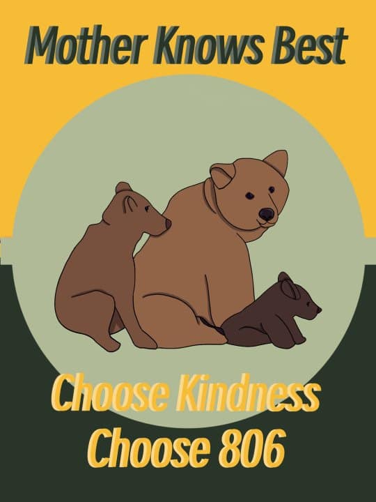 Fan-made campaign poster of a mother bear and cubs urging voters to choose kindness and choose 806
