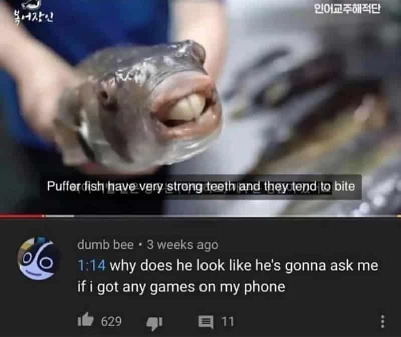 Screenshot of a buck-toothed pufferfish paired with a funny comment asking if you have games on your phone.