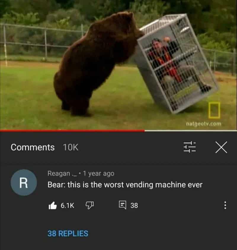 Grizzly bear tipping over a metal protective cage containing a human inside paired with a funny comment calling it the worst vending machine ever.