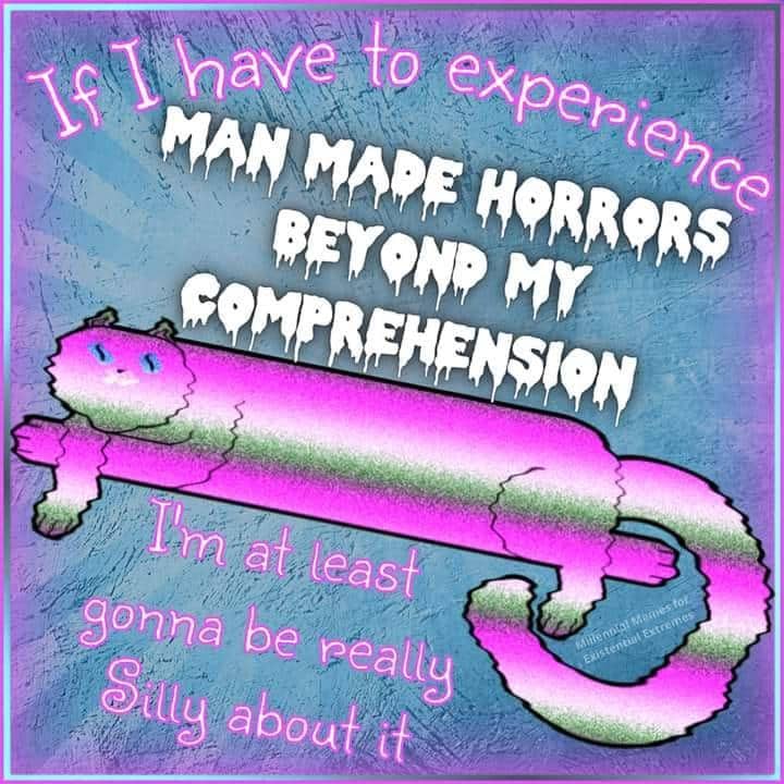 Colorful vaporwave illustration of a cat under text about silly funny memes and horrors.