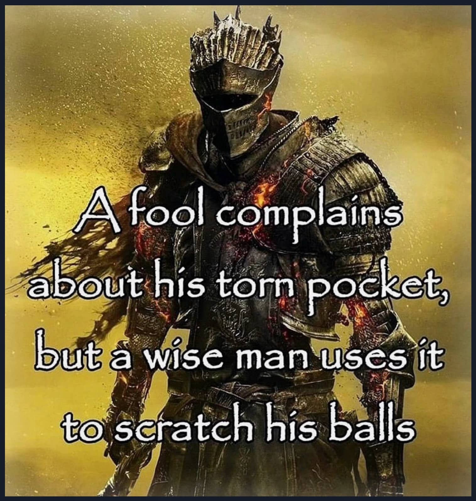 Dark Souls knight in detailed armor beneath funny wisdom quote about torn pockets meme.