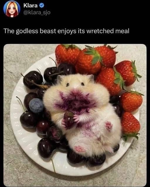 Cute hamster eating red berries with messy purple face captioned godless beast enjoying meal.