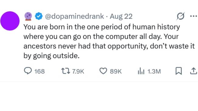 Social media tweet humorously encouraging staying indoors on computers instead of going outside funny memes