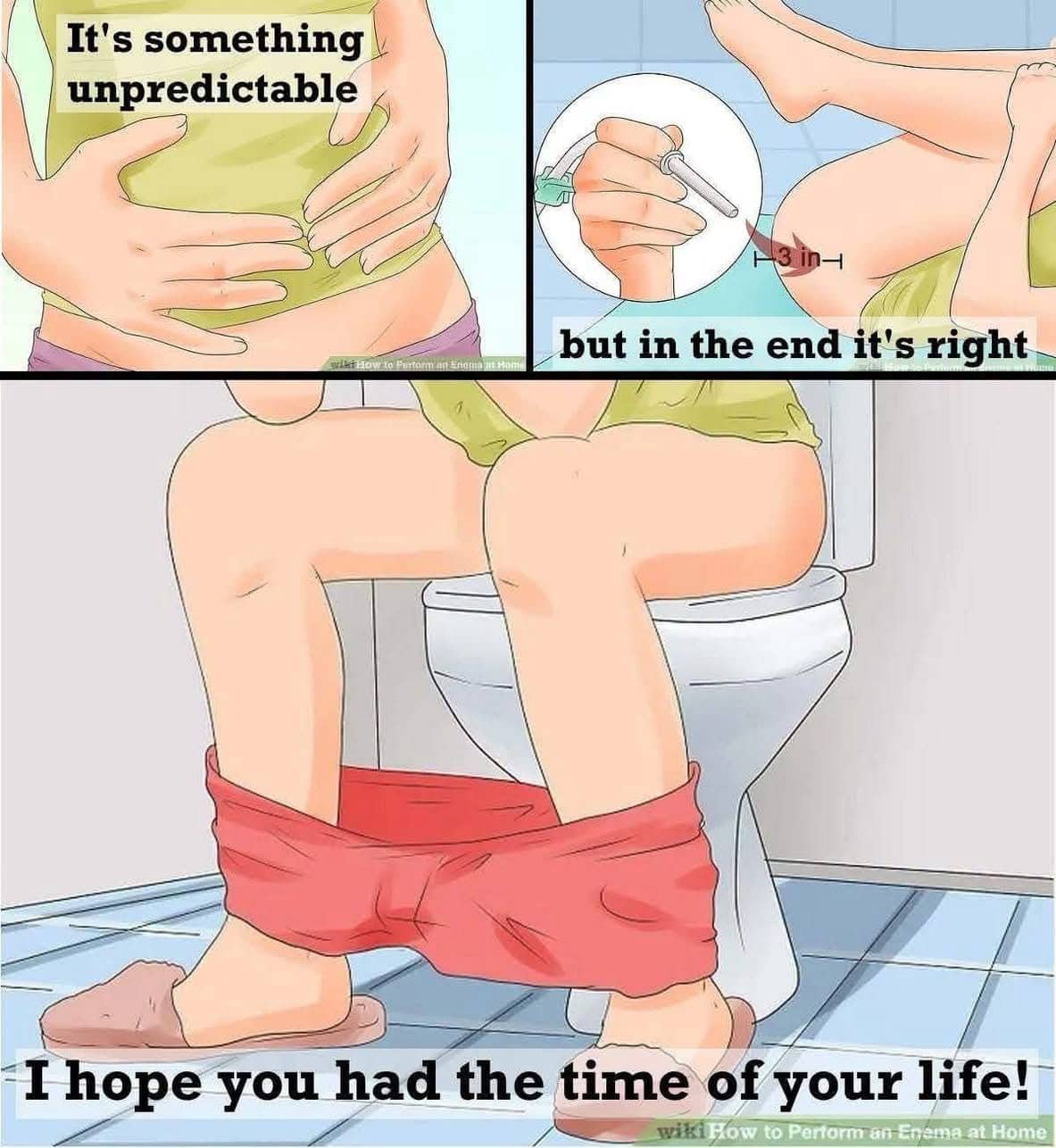 WikiHow illustration collage with Green Day lyrics text overlay for a funny meme.