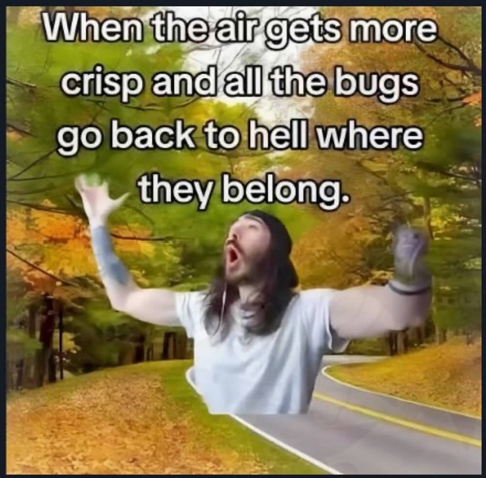 Man celebrating fall season with arms raised on a scenic autumn road meme.