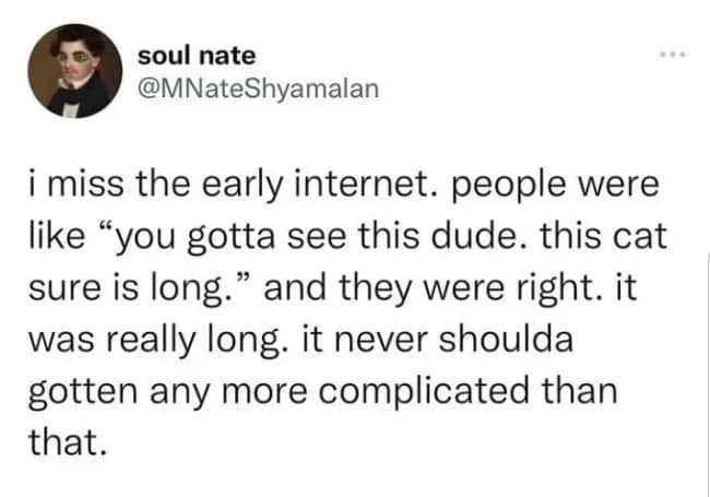 Nostalgic text post reflecting on early internet simple memes like long cat photo sharing.