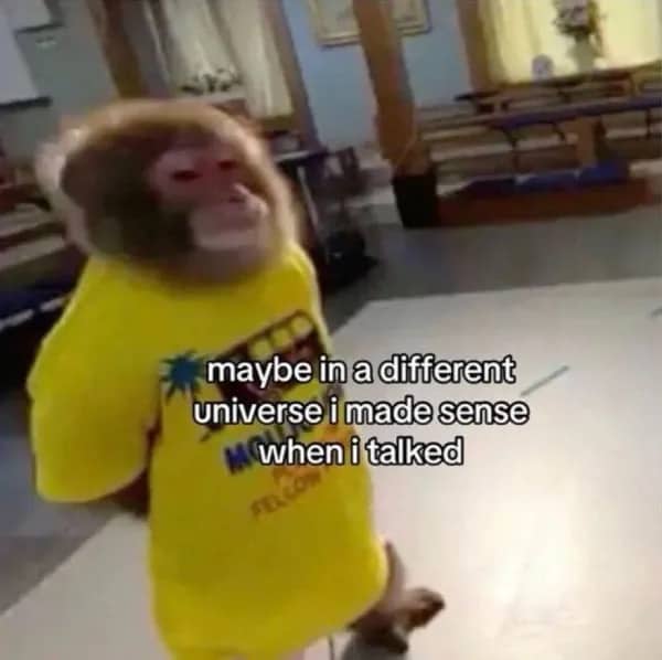 Monkey wearing yellow t shirt with caption about making sense in a different universe.