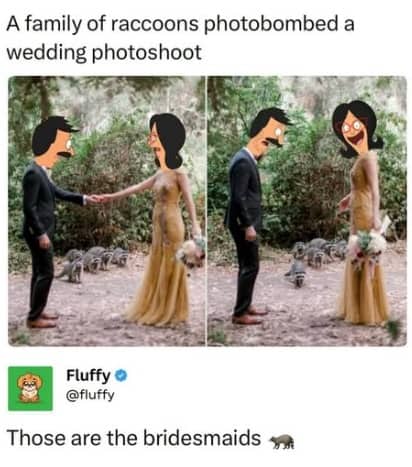 Funny Bobs Burgers wedding meme photoshopped over raccoons attending outdoor ceremony.