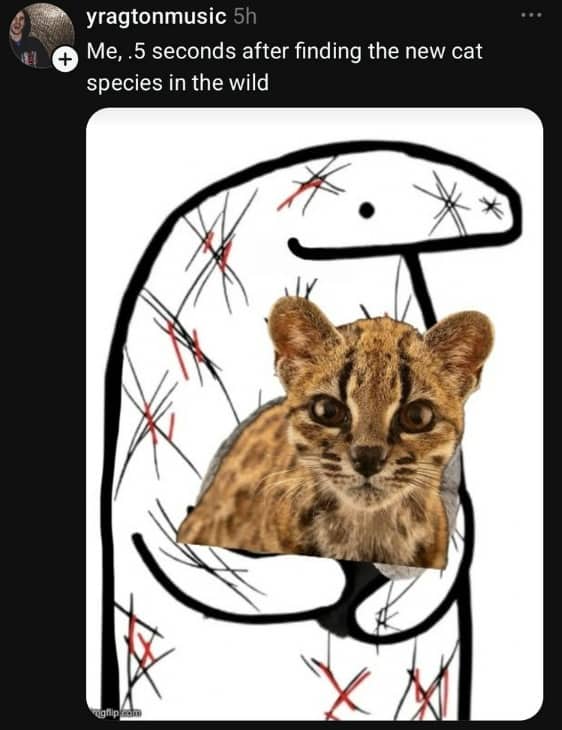 Meme illustration of scratched character holding a tiny wild cat species with intense affection.