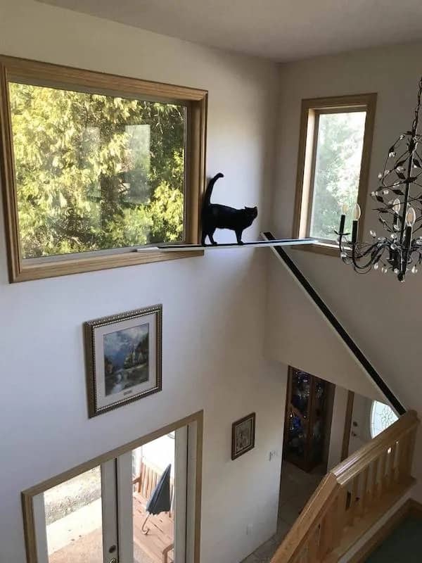 Black cat walking across narrow ledge high above front entrance inside a modern home.