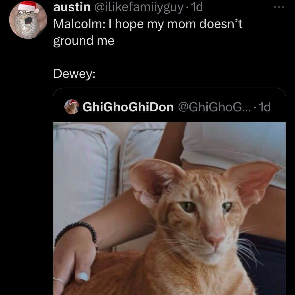 Big eared orange cat representing Dewey in a funny memes Malcolm in Middle joke.