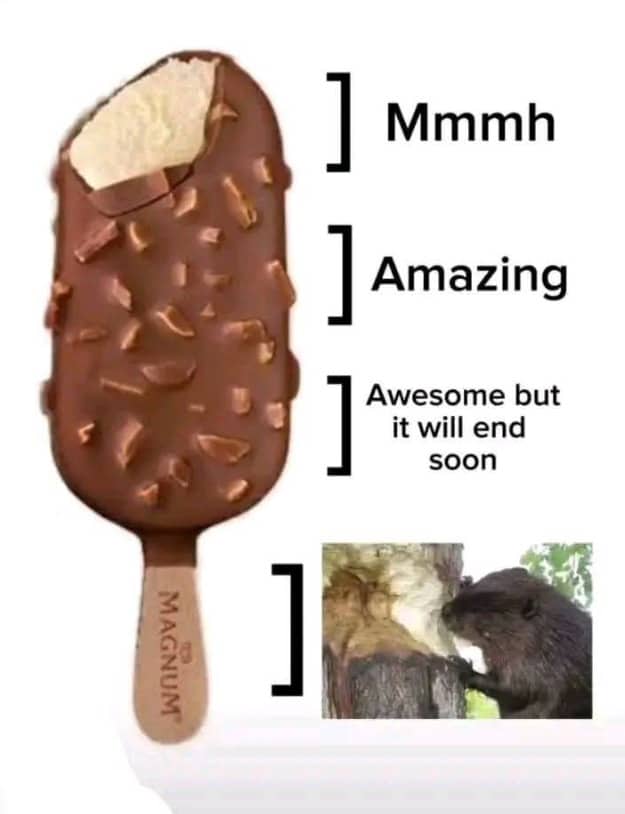 Funny ice cream bar meme showing stages of eating ending with chewing wood stick.