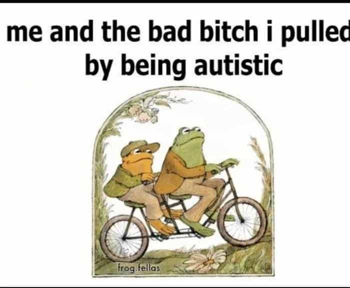 Classic Frog and Toad book illustration riding a tandem bicycle together funny meme.