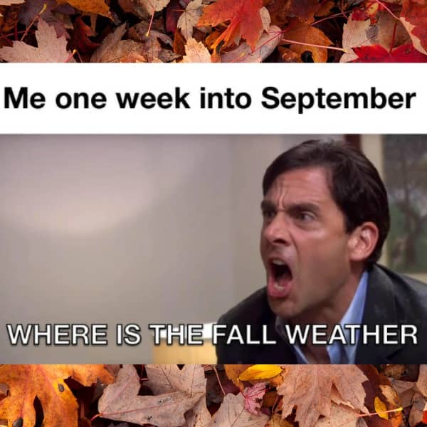 The Office Michael Scott shouting meme overlay on autumn fall leaves background.