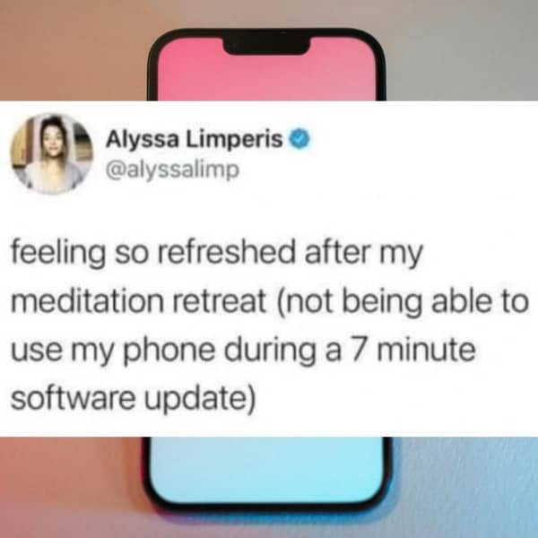 Social media joke describing a temporary software update as a peaceful meditation retreat offline.