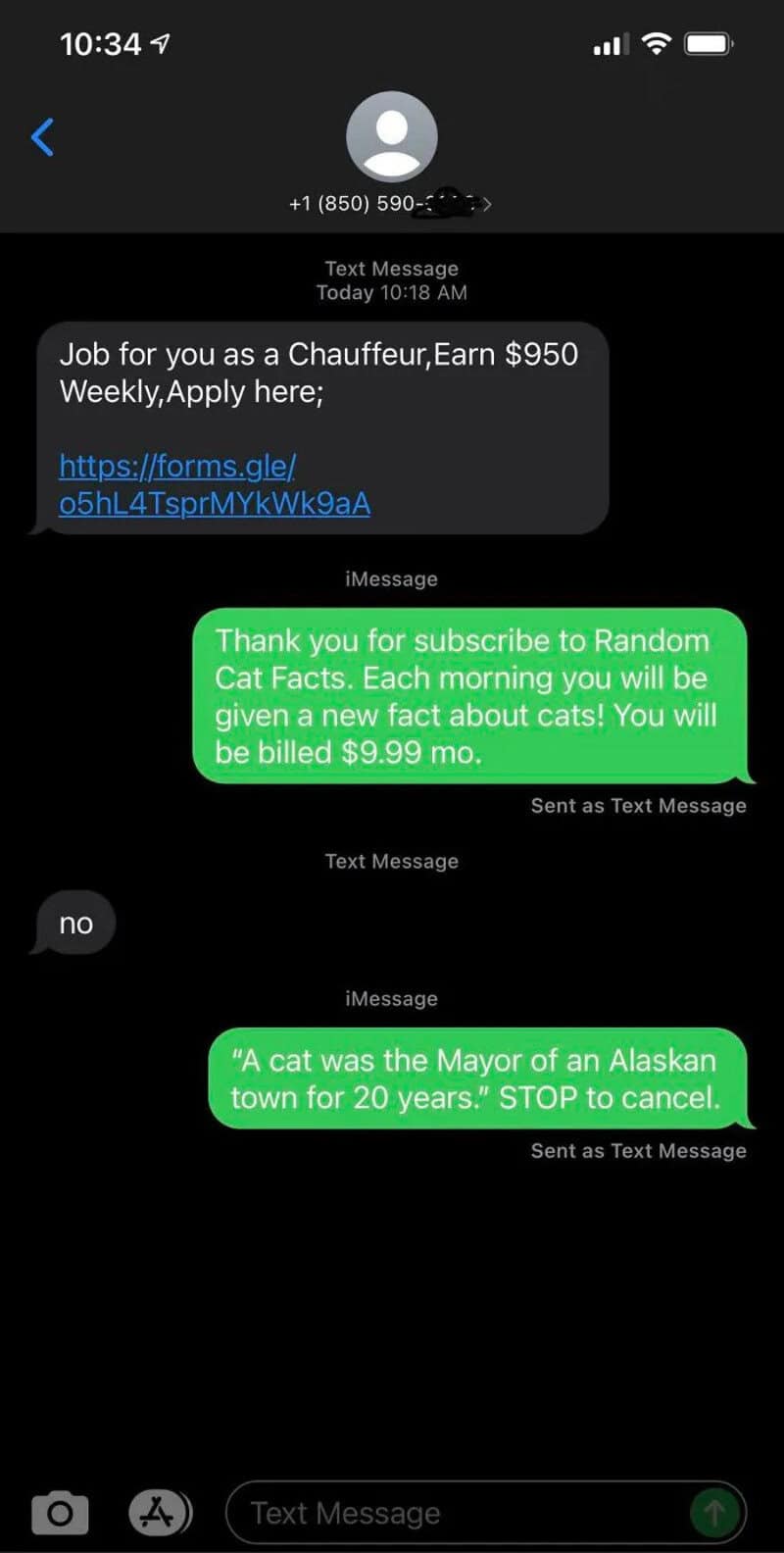 Text response spamming a scammer with fake paid subscription updates about random cat facts.