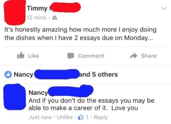 Facebook comment in funny text replies suggesting skipped essays could lead to a dishwashing career.