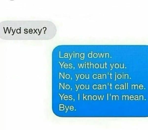 Wyd sexy answered with a list of preemptive rejections, a highlight of funny text replies.