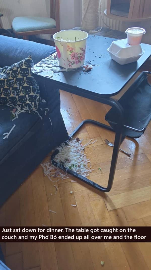 Spilled bowl of pho ruining a living room couch and floor during a bad day.